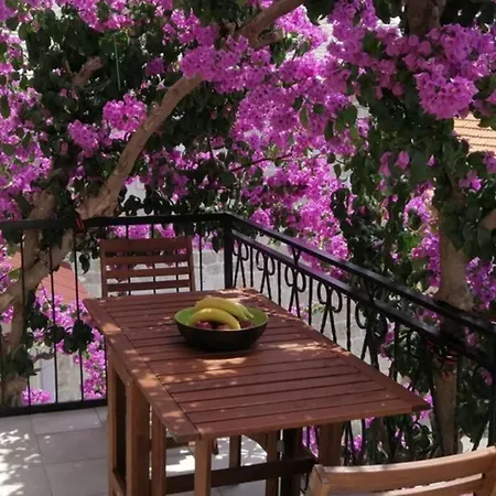Apartamento Summer Dreams In *