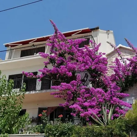 Summer Dreams In *